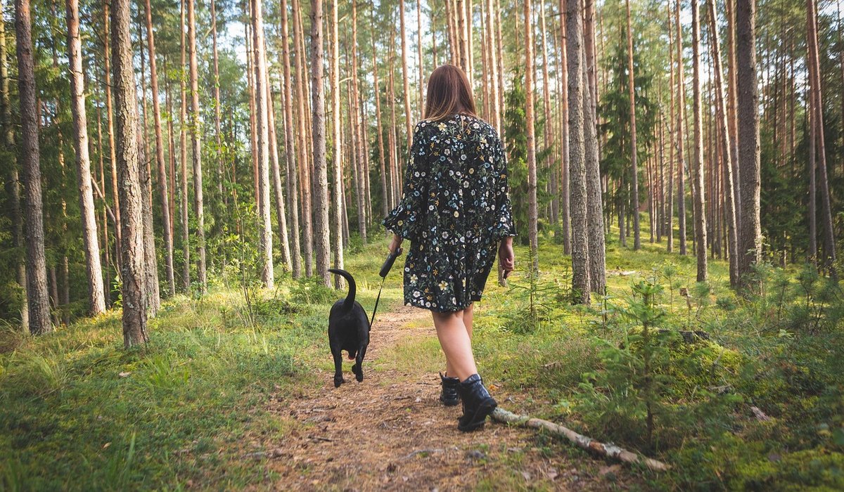 Choosing Safe Countryside Routes for Reactive Dogs